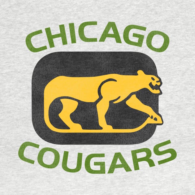 Defunct Chicago Cougars Hockey Team by Defunctland